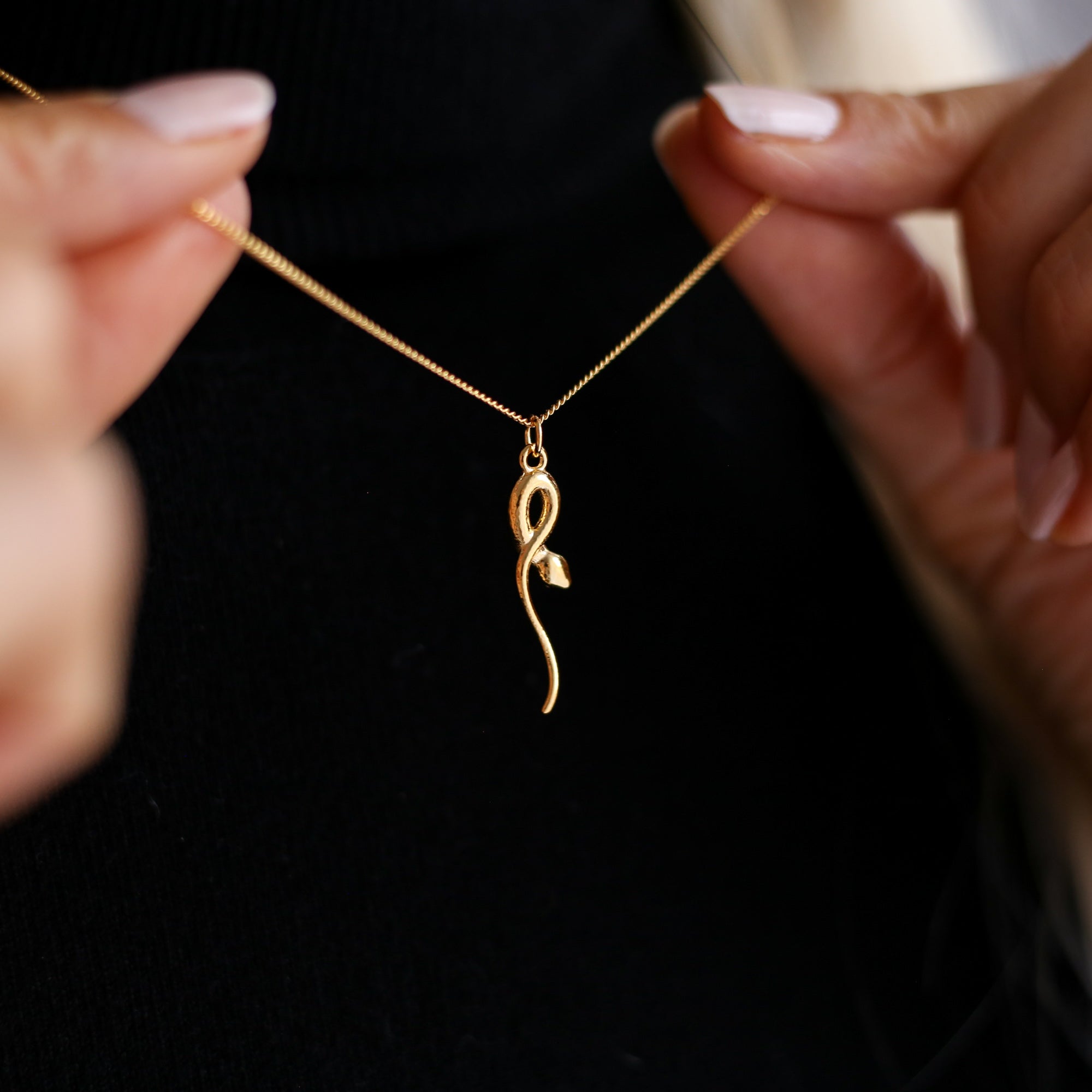 Snake Charm Necklace