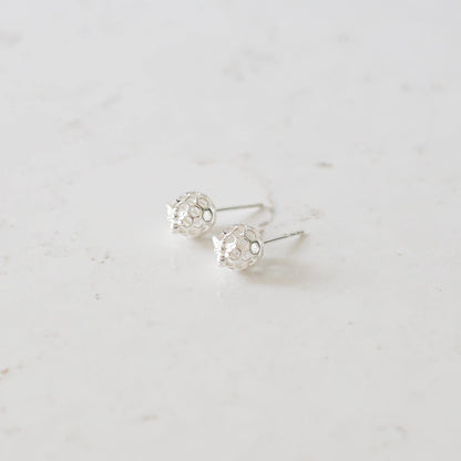 Queen Bee Stud Earrings