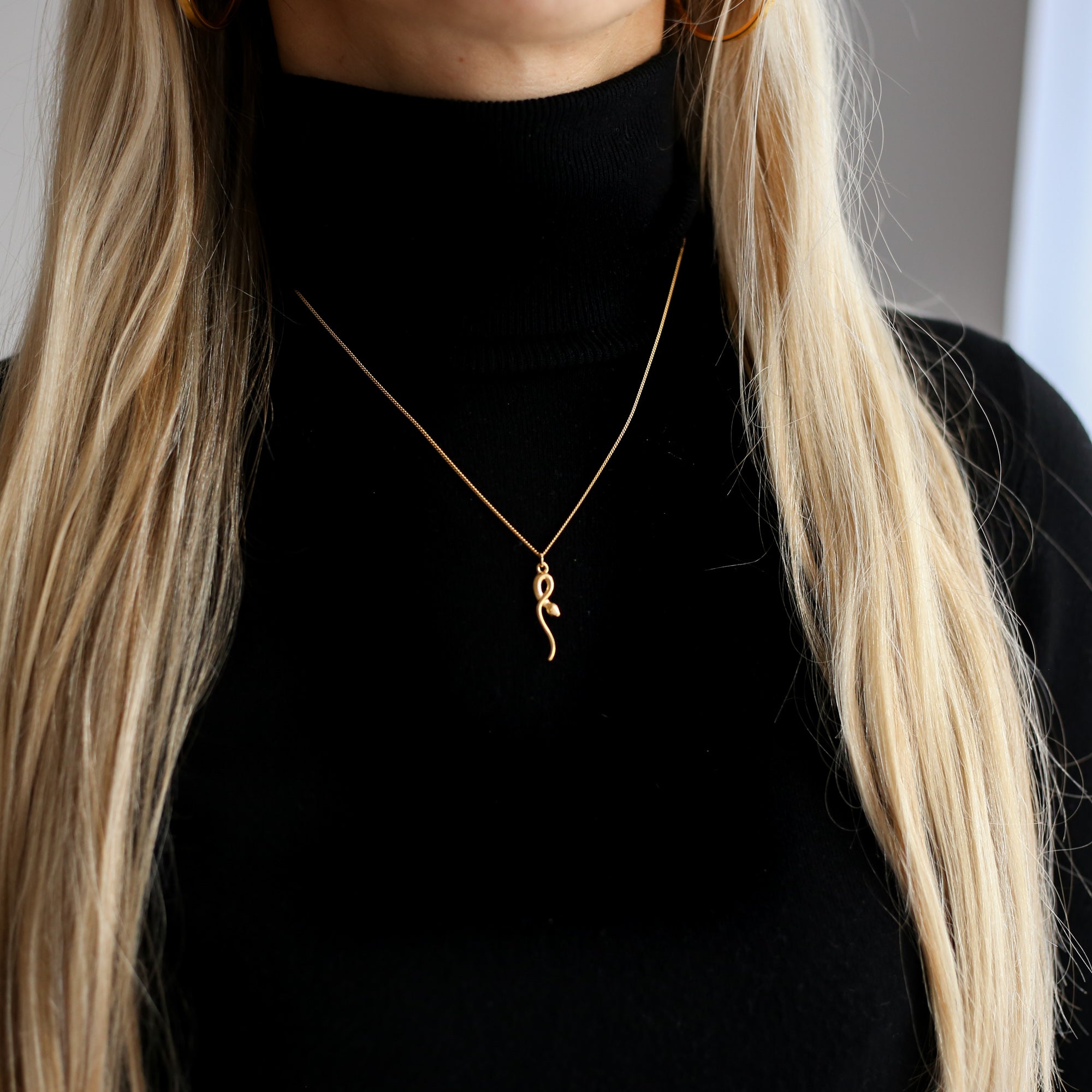 Snake Charm Necklace